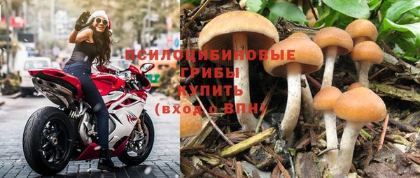 не бодяженный Лагань