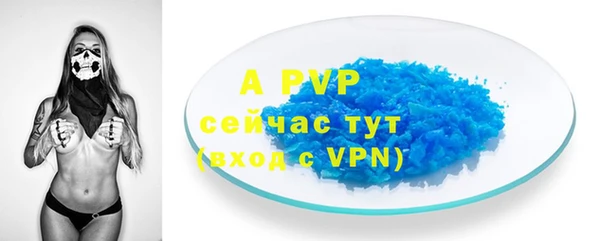 шишки Кукмор