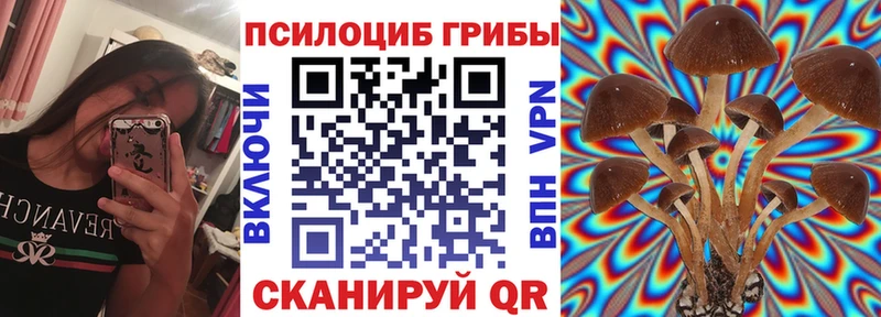 Галлюциногенные грибы MAGIC MUSHROOMS Невель
