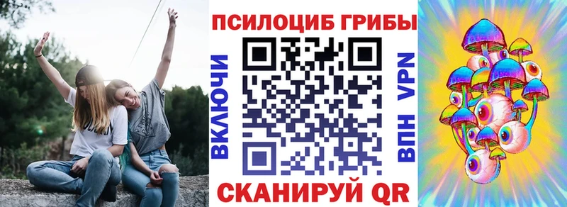 Купить закладки  Невель  Псилоцибиновые грибы MAGIC MUSHROOMS 