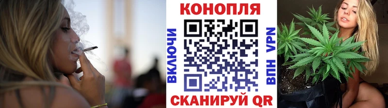 Бошки Шишки Amnesia  Купить  Невель 